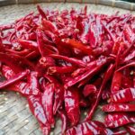 Dried Red Chili