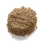 Barley