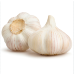 Fresh Garlic