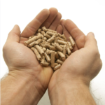 Wood Pellet - Image 2
