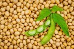 Soybeans