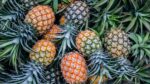 Fresh Pineapple - Image 2