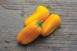 Yellow Pepper