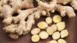 Ginger - Image 2