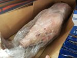 Frozen whole Pork